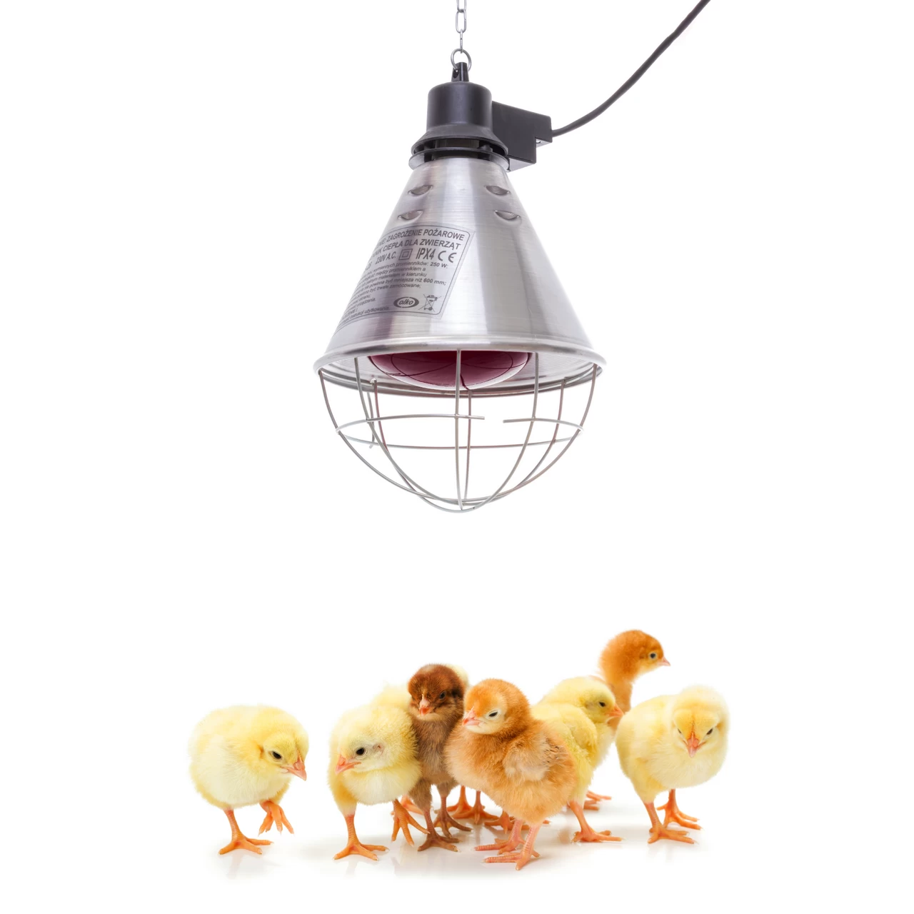 Lampadina riscaldante a infrarossi, 150 W, Kerbl