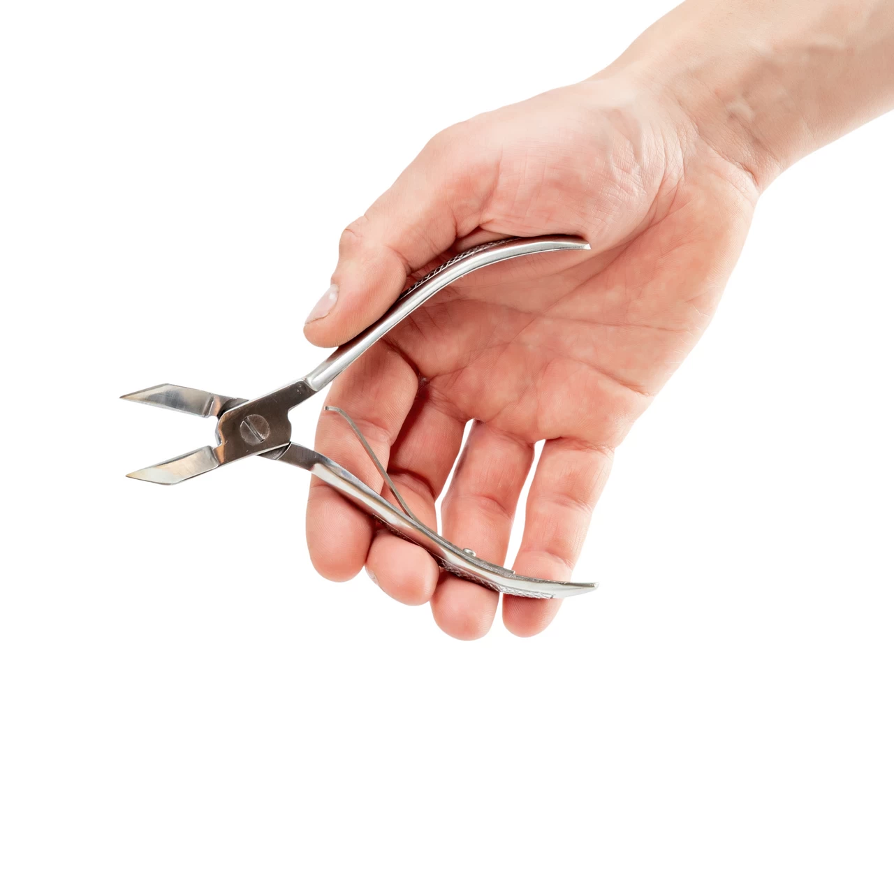 Pinza dentale per il taglio delle zanne dei suinetti neonati