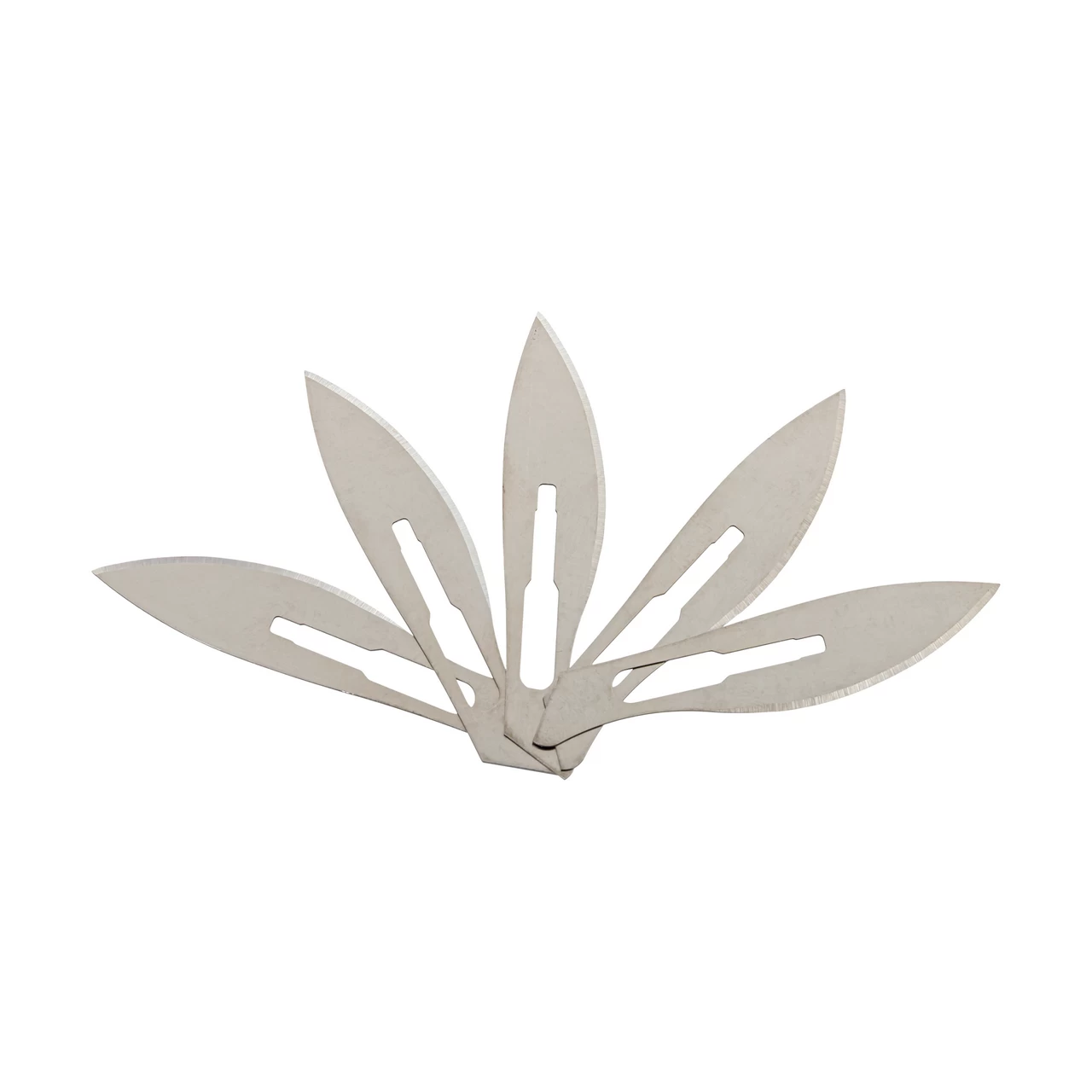 Lama chirurgica Swann-Morton, misura 24, 5 pezzi