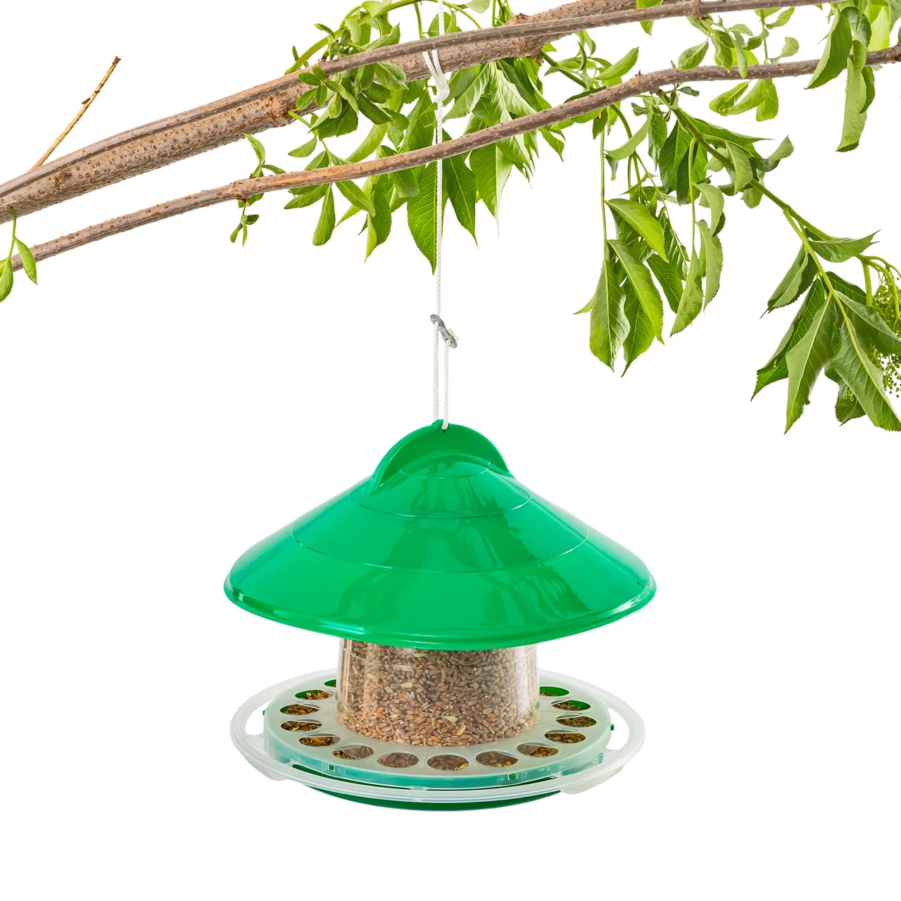 Mangiatoia per uccelli sospesa, plastica verde