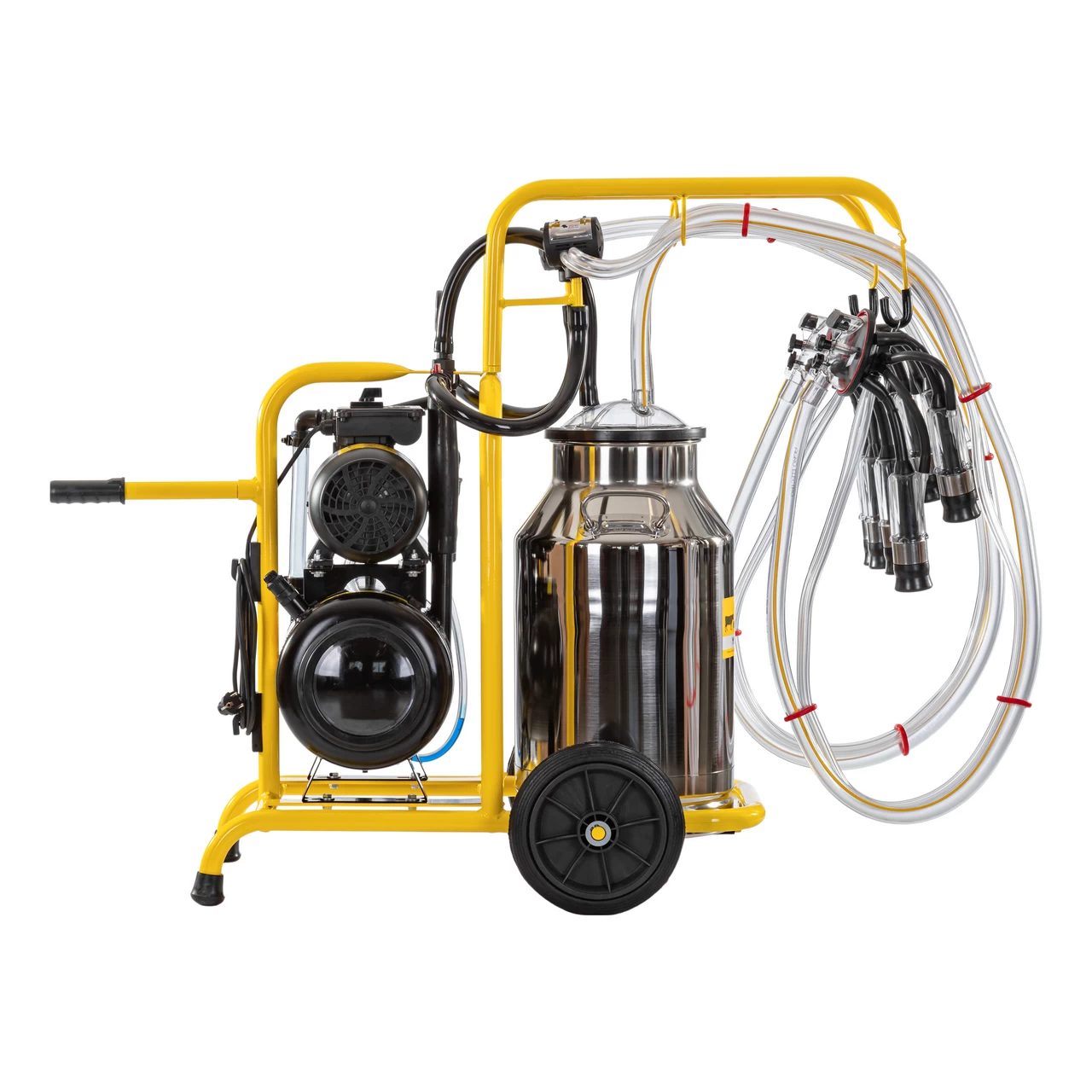 Mungitrice per mucche, 2 posti, 1 bidone acciaio inox 40 litri