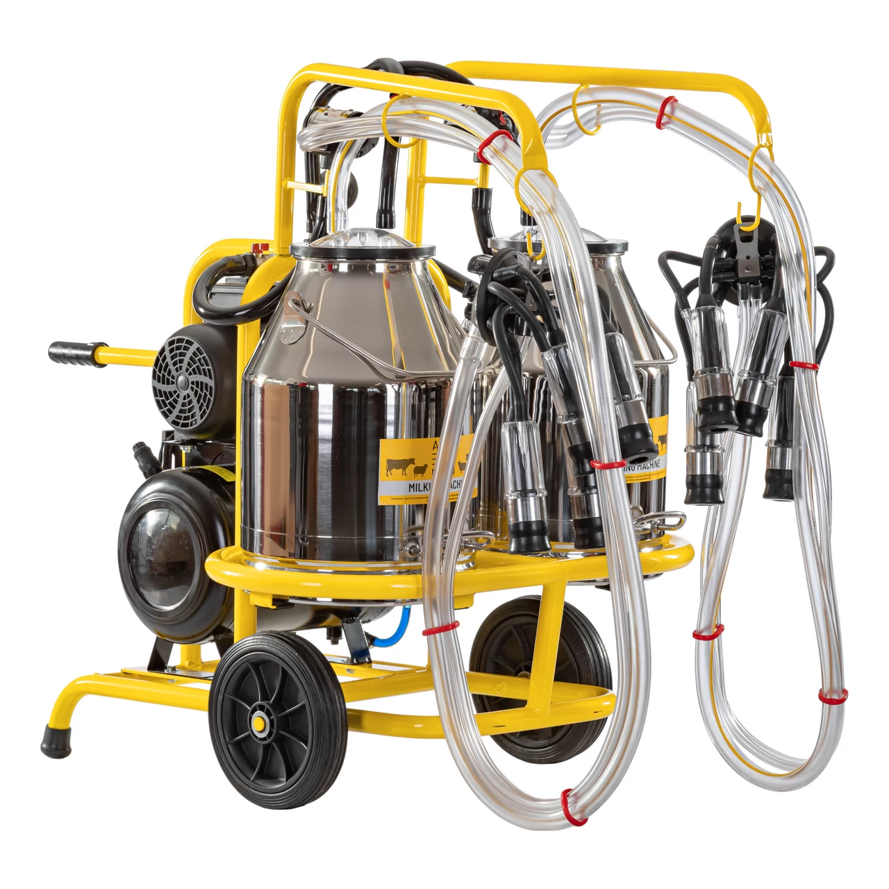 Mungitrice per mucche, 2 posti, 2 bidoni acciaio inox 30 litri