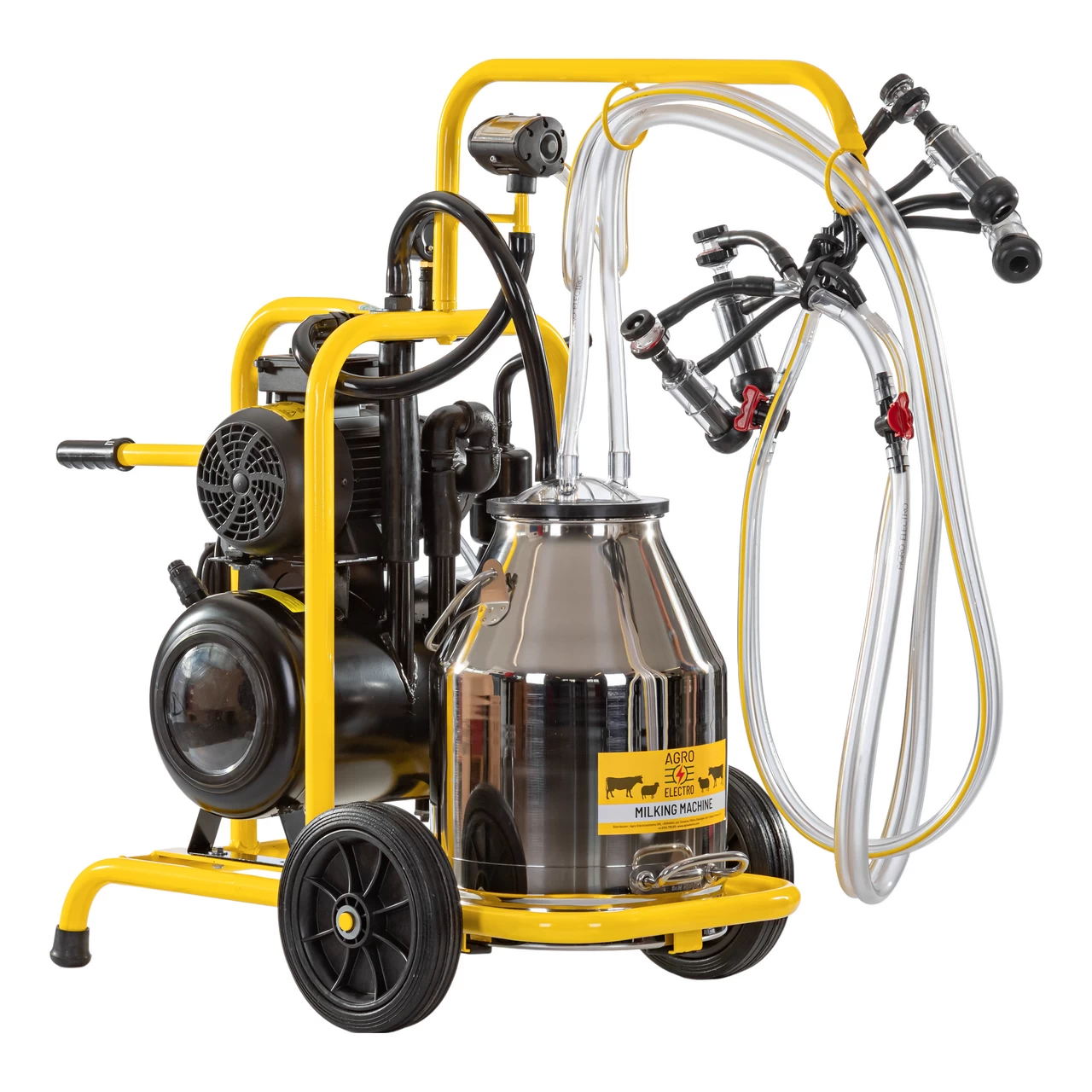 Mungitrice per pecore, 2 posti, 1 bidone acciaio inox 30 litri