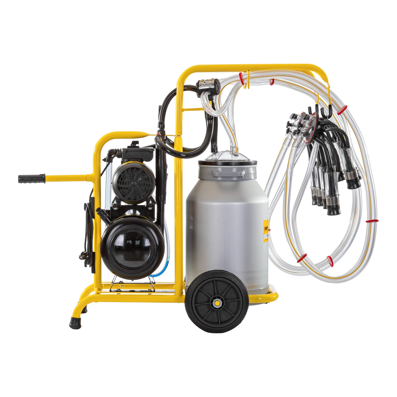 Mungitrice per mucche, 2 posti, 1 bidone alluminio 40 litri