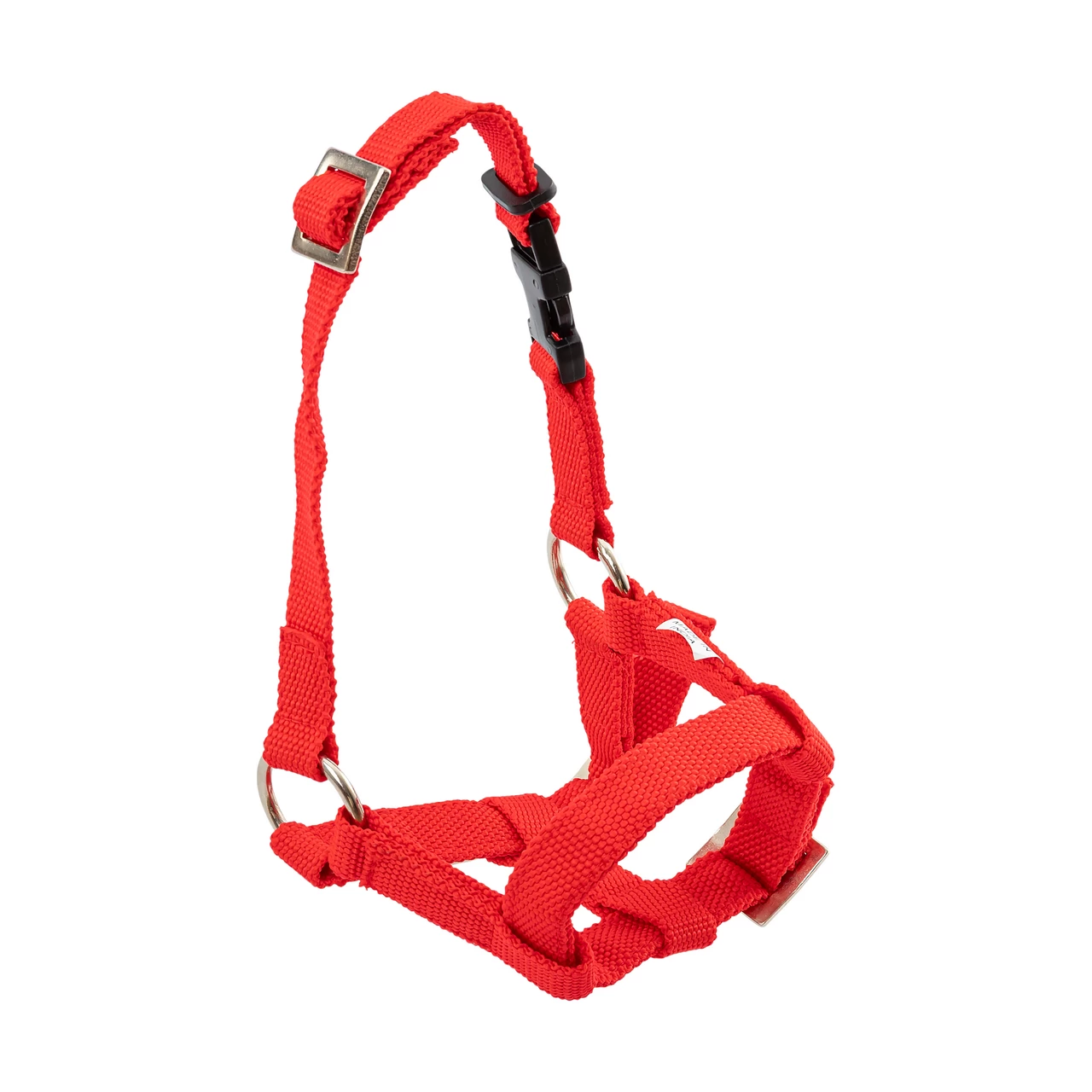 Briglia per alpaca, rosso