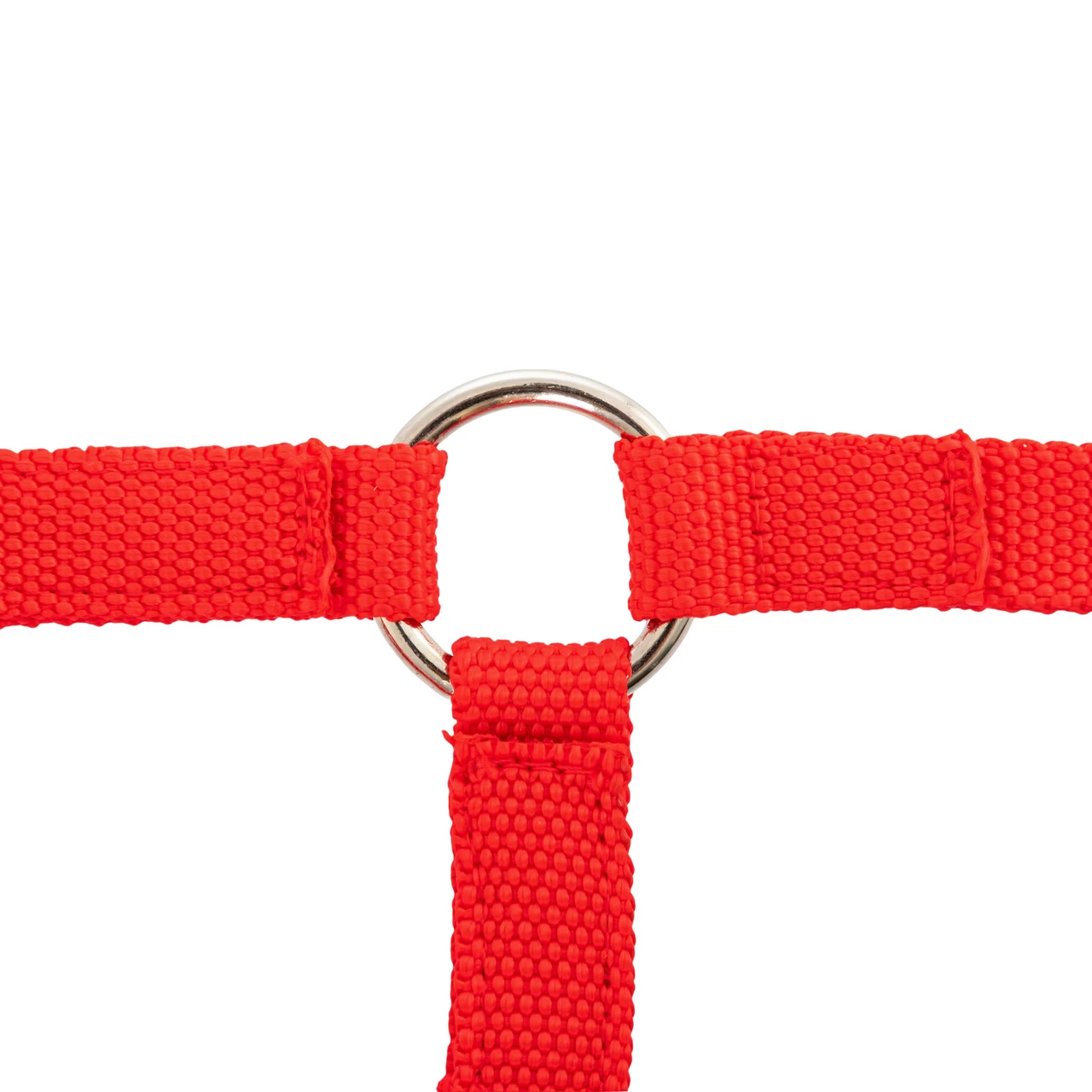 Briglia per alpaca, rosso