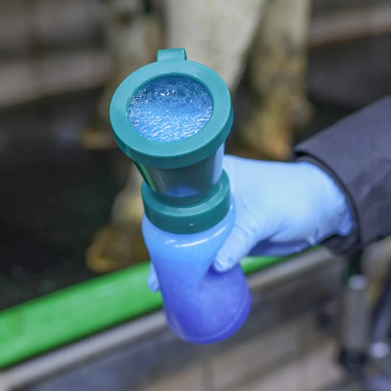 Bicchiere per la disinfezione dei capezzoli, FoamExpert (con schiuma), 300 ml