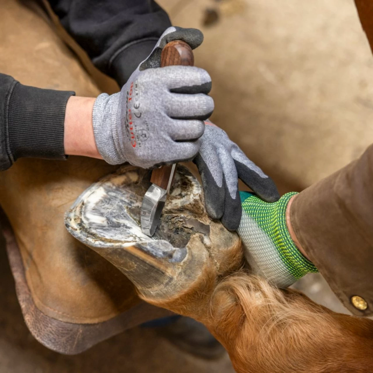 Coltello per zoccoli, ProfiLoop