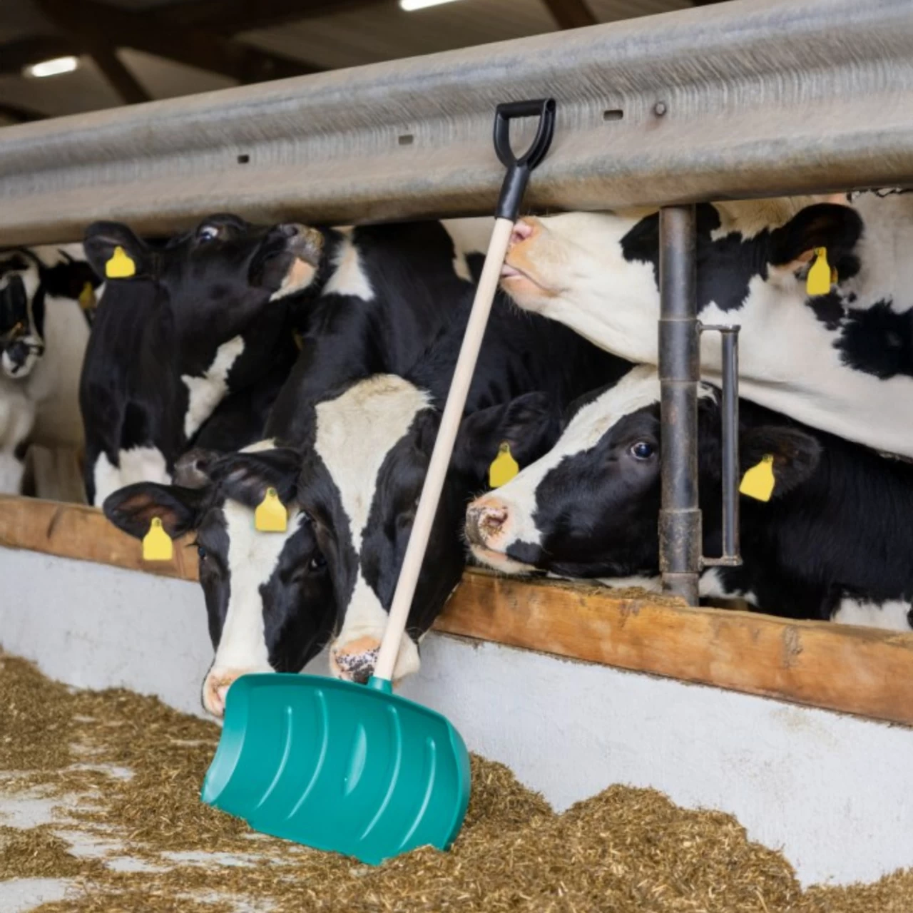 Pala per la movimentazione dei mangimi, senza manico, 65,5 × 27 cm