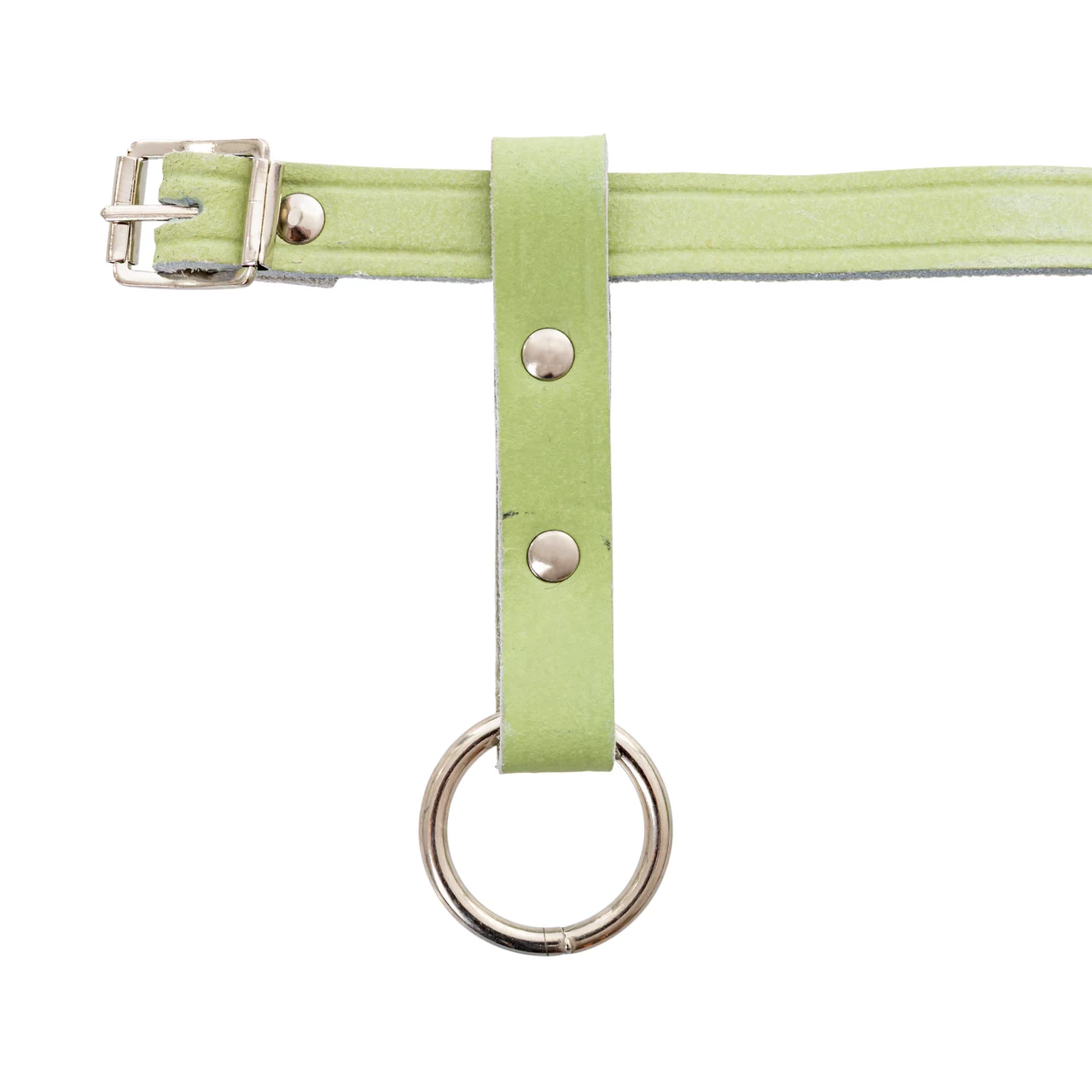 Briglia in pelle per pecore e montoni, regolabile