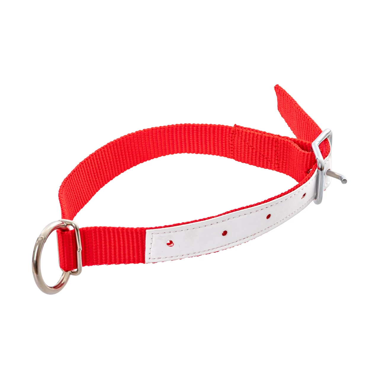Collare per pecore, rosso, 60 cm