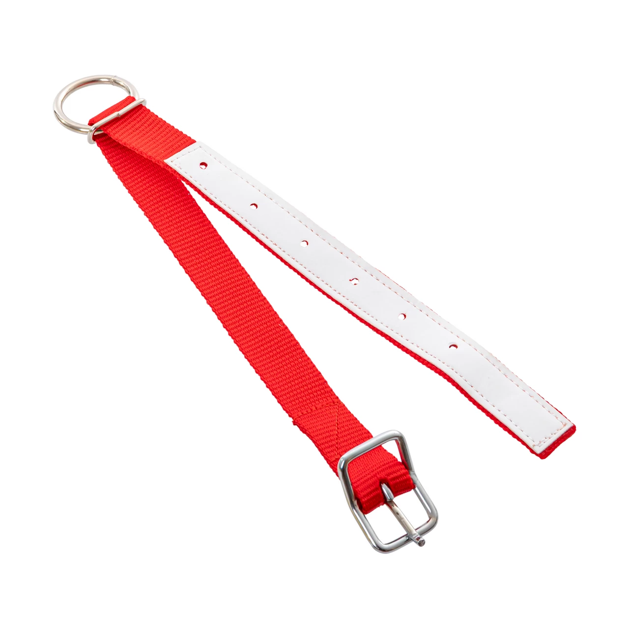 Collare per pecore, rosso, 60 cm
