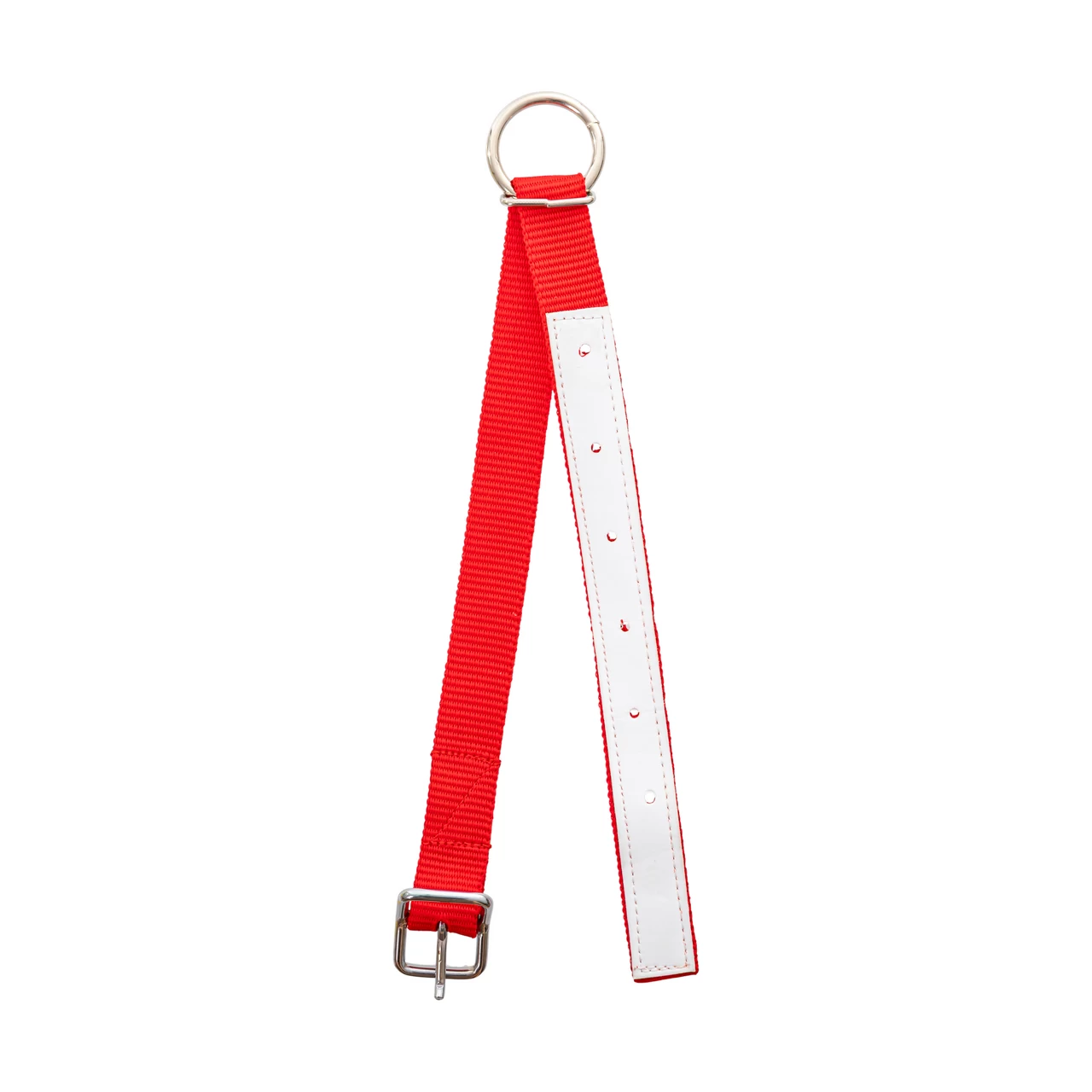 Collare per pecore, rosso, 60 cm
