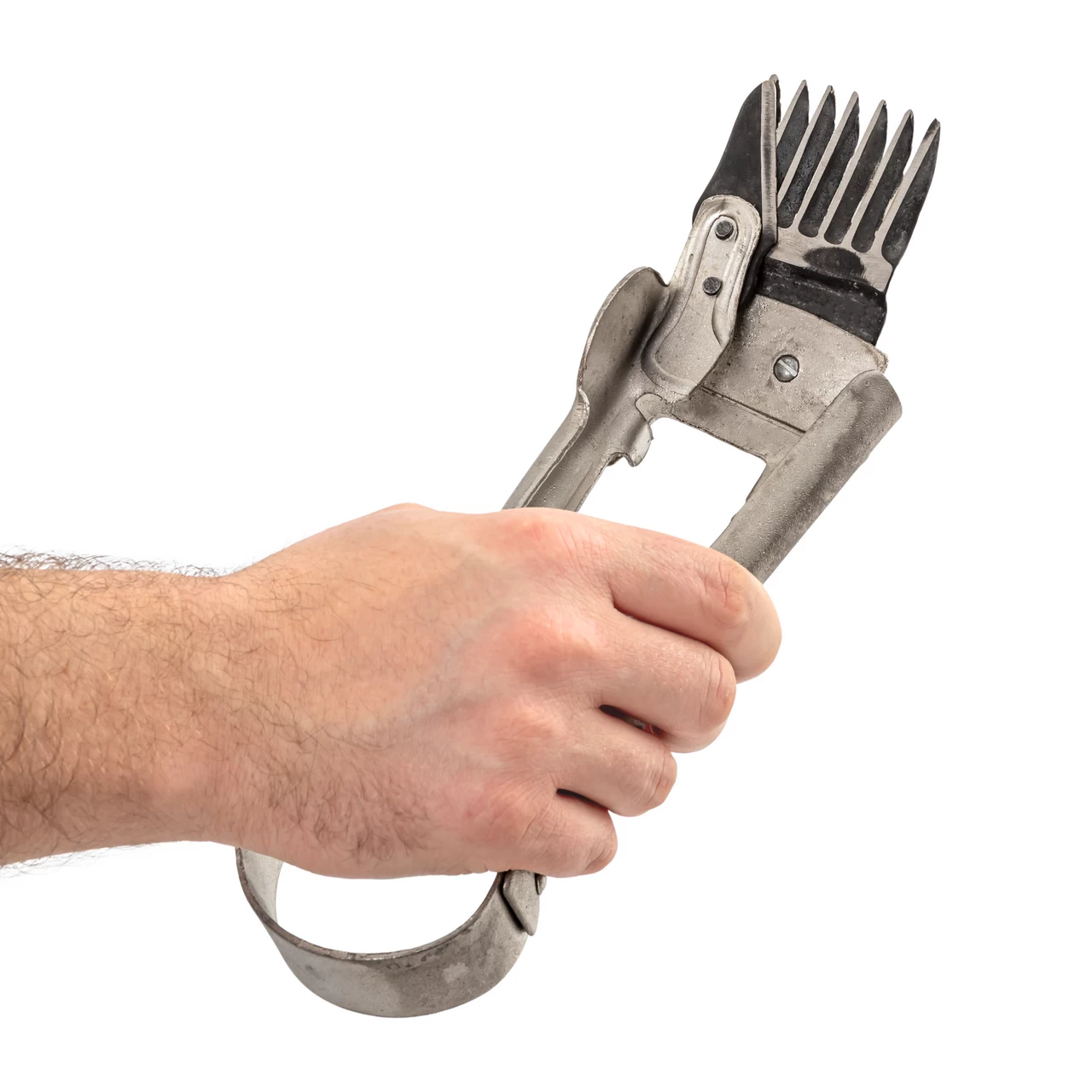 Forbici per tosare le pecore, con denti distanziati, per una tosatura occasionale, 25 cm
