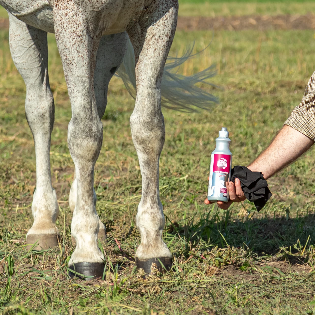 Olio per zoccoli, MagicBrush, 500 ml