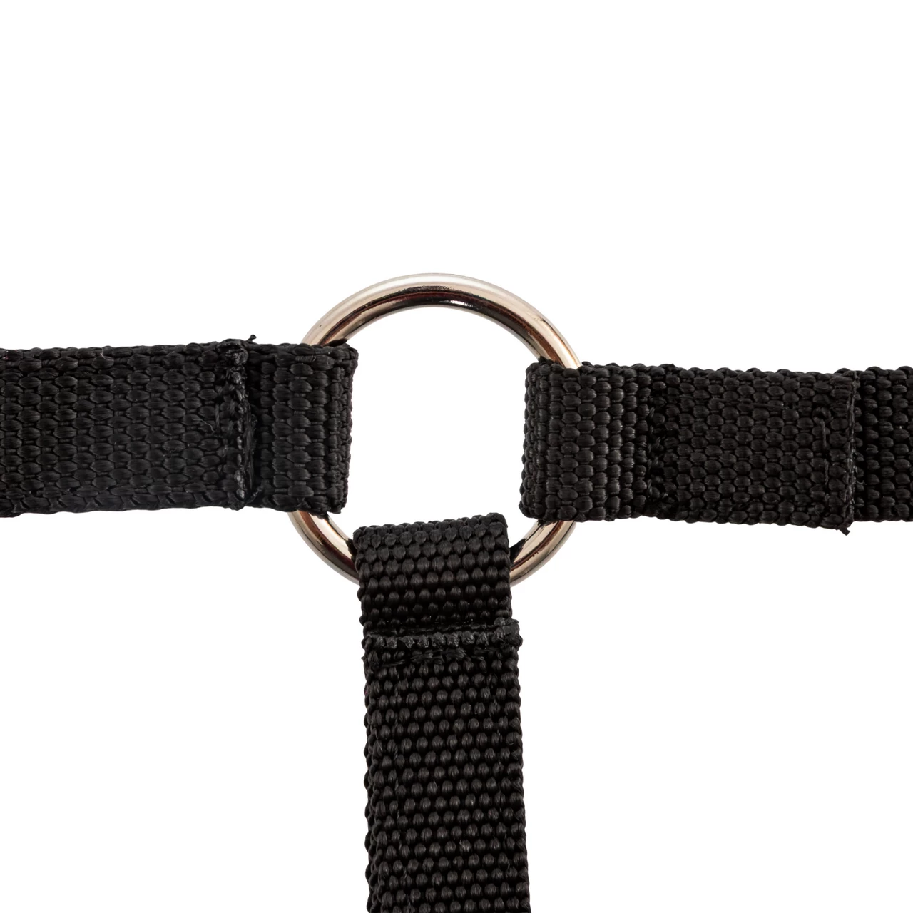 Briglia per alpaca, nero