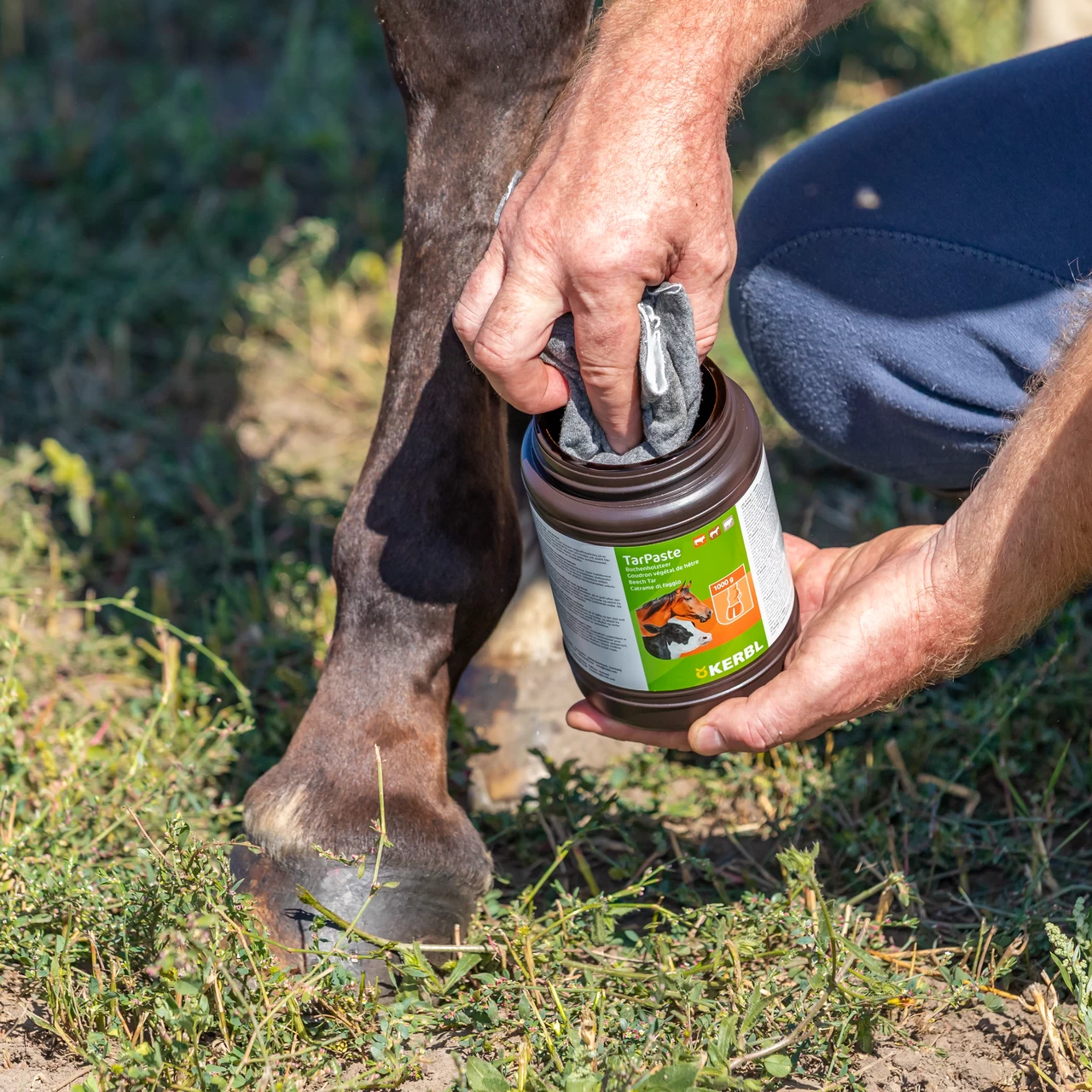 Pasta di catrame di faggio, TarPaste, 1 kg