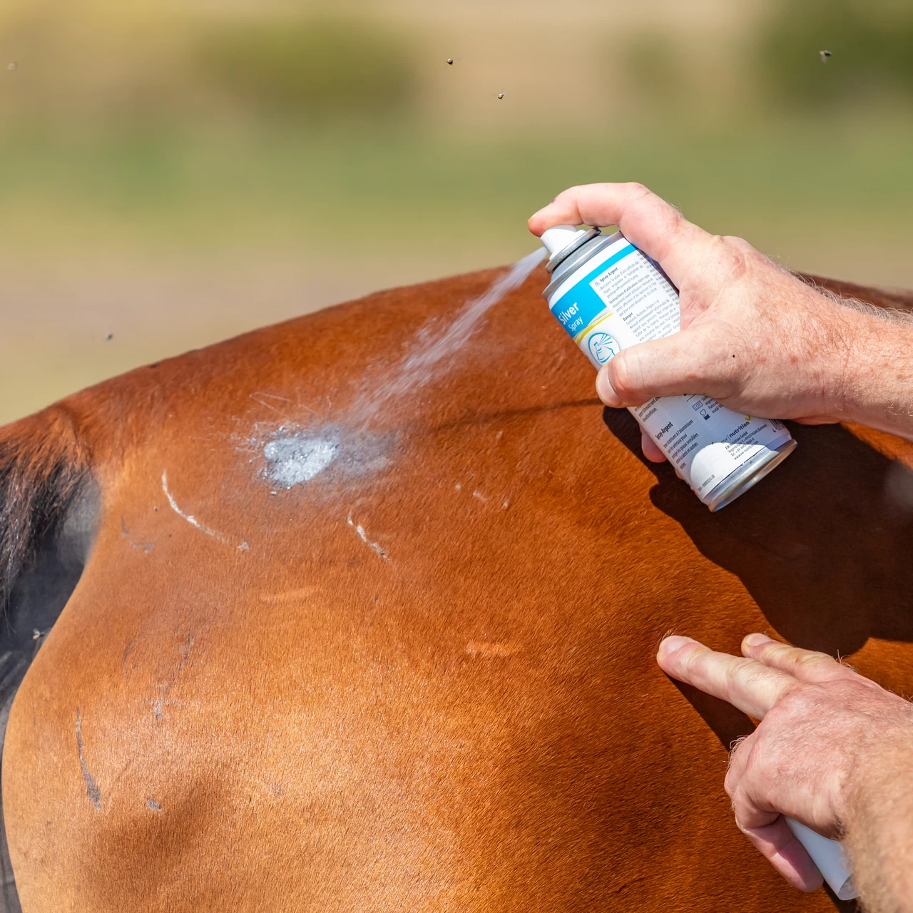 Spray colore argento per la protezione da ferite o lesioni minori, 200 ml