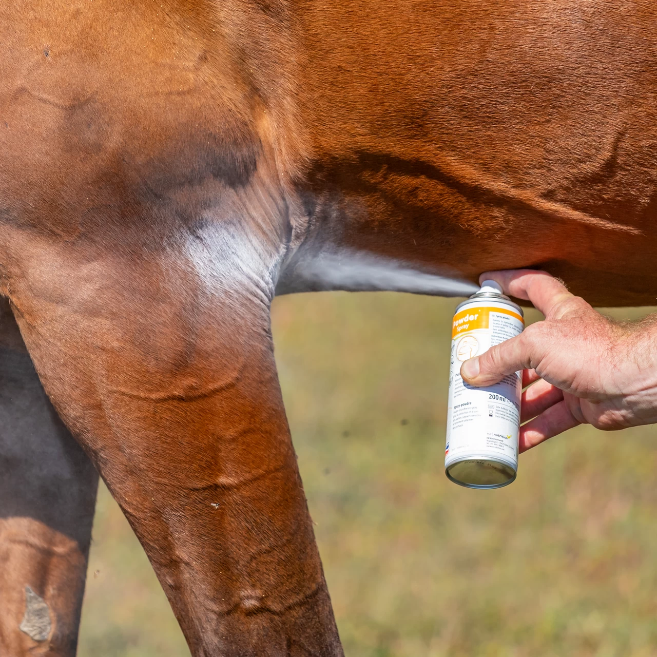 Spray Powder - protezione e cura della pelle sensibile degli animali, 200 ml