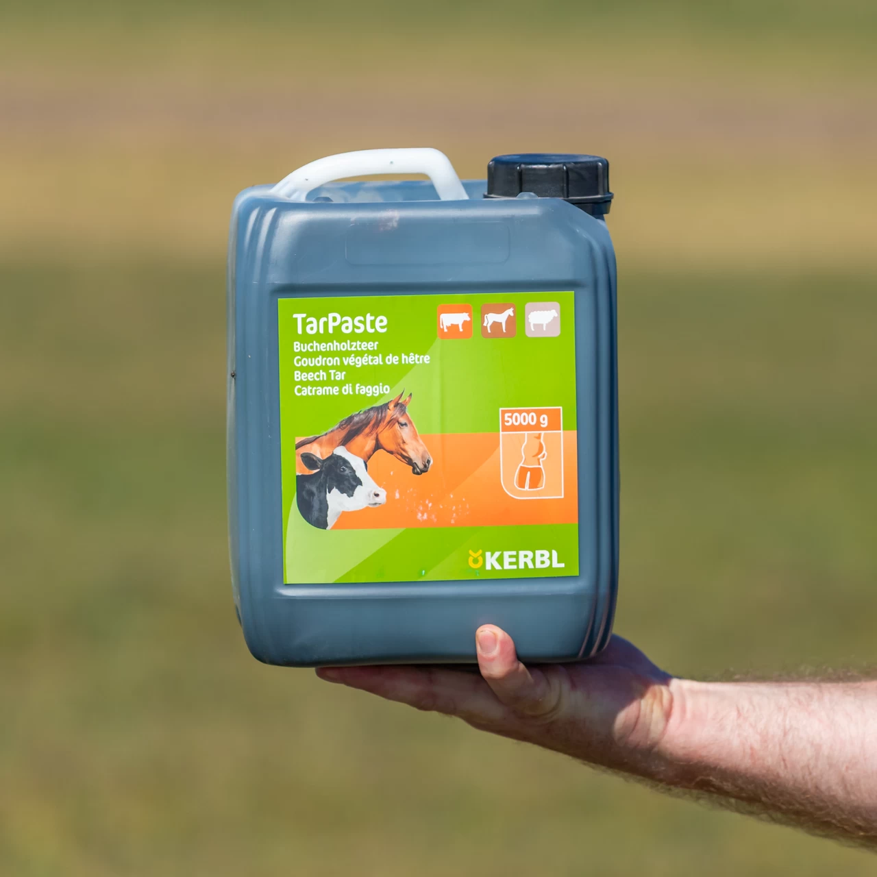 Pasta di catrame di faggio, TarPaste, 5 kg