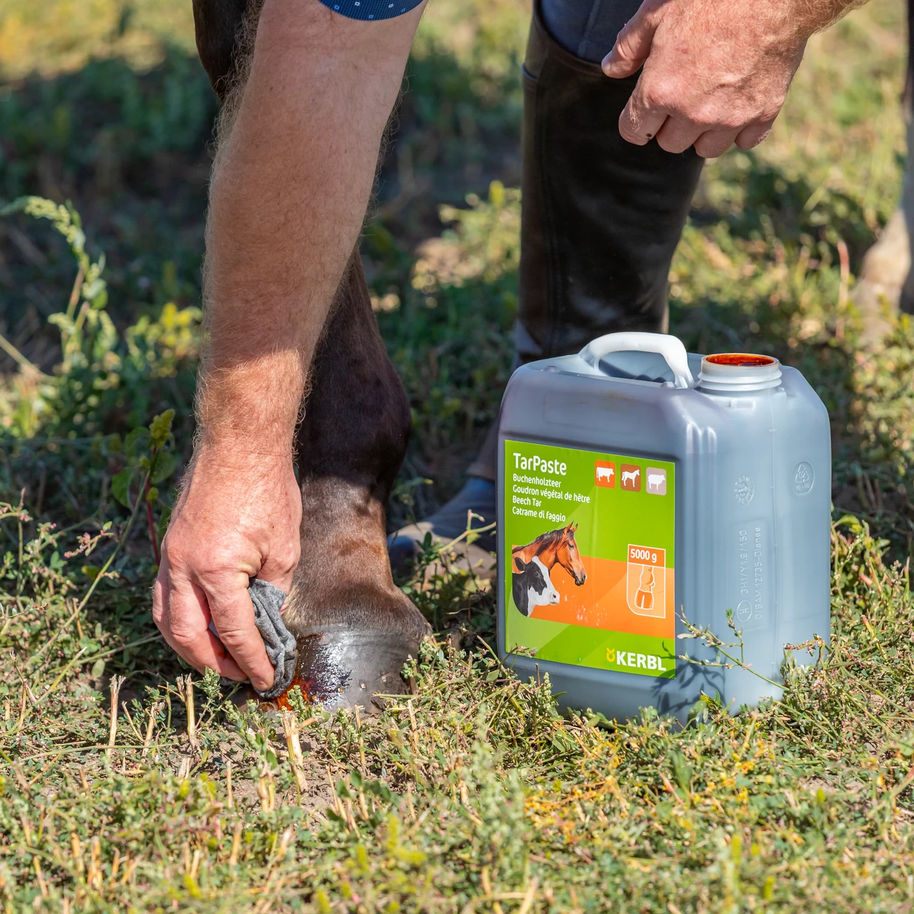 Pasta di catrame di faggio, TarPaste, 5 kg