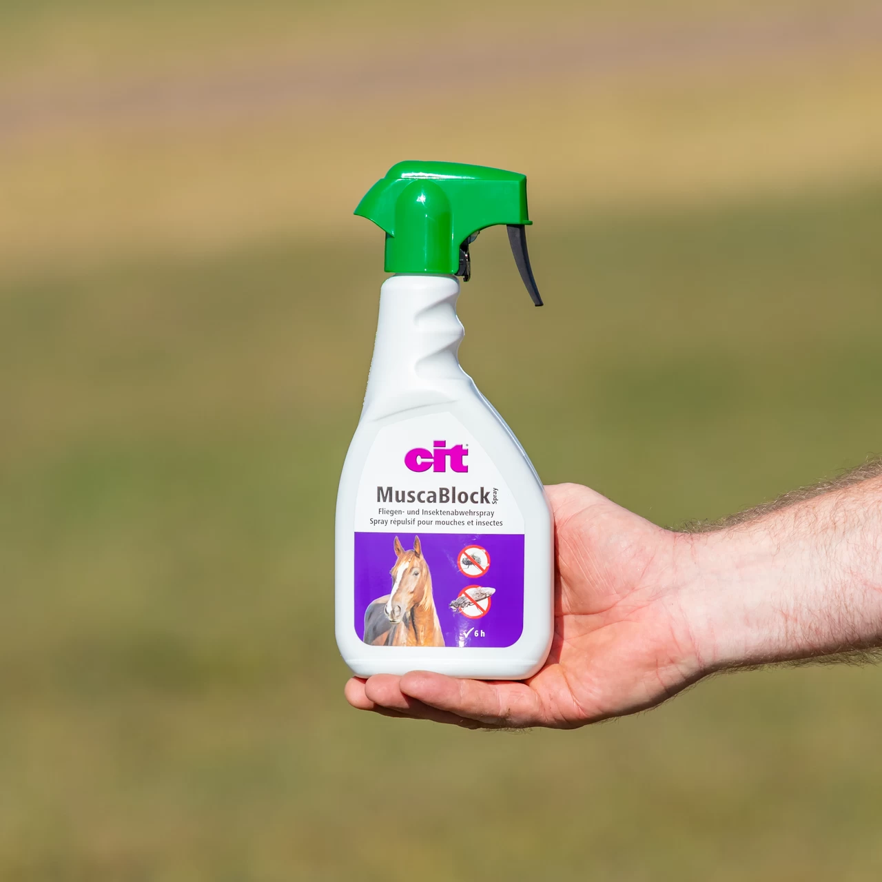 Spray contro le mosche, CIT MuscaBlock, 500 ml