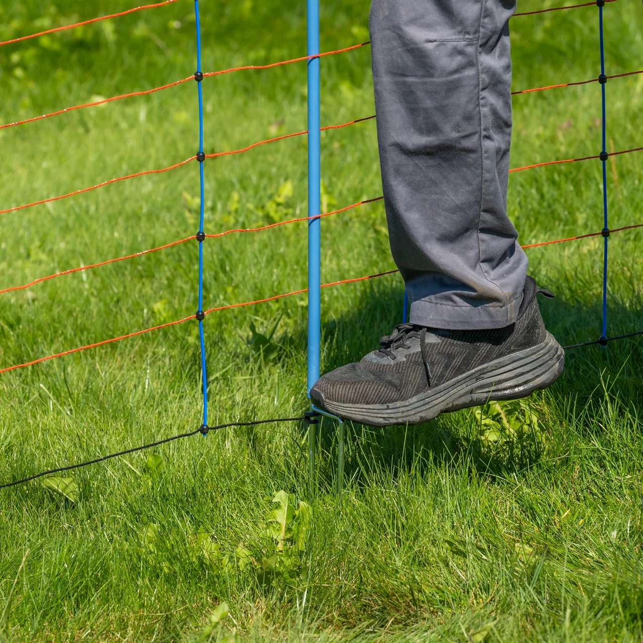 Rete per recinto elettrico, TitanNet Premium, 50 m × 90 cm