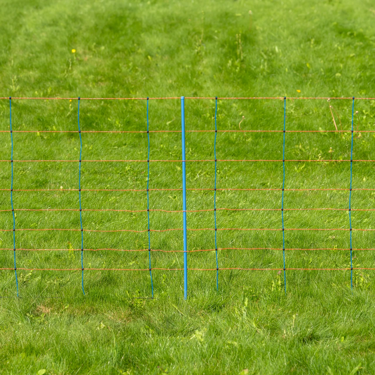 Rete per recinto elettrico, TitanNet Premium, 50 m × 90 cm