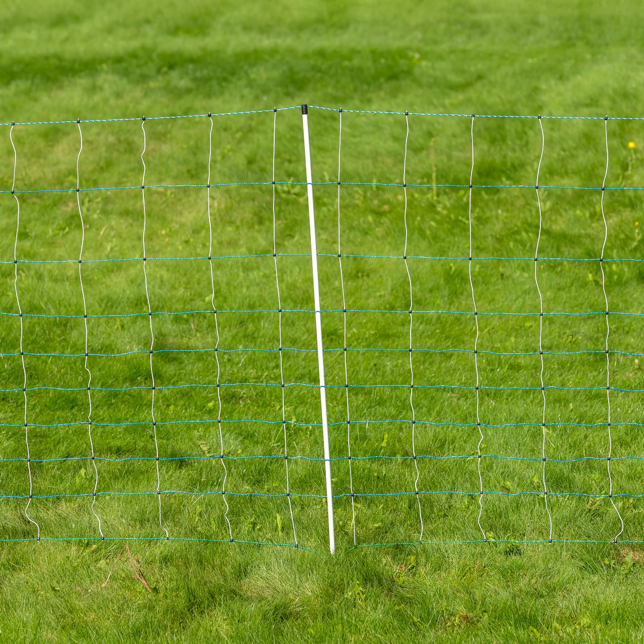 Rete per recinto elettrico, OviNet Maxi, 50 m × 122 cm