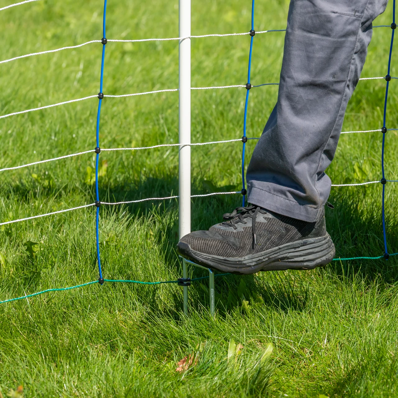 Rete per recinto elettrico, TitanNet, 50 m × 145 cm