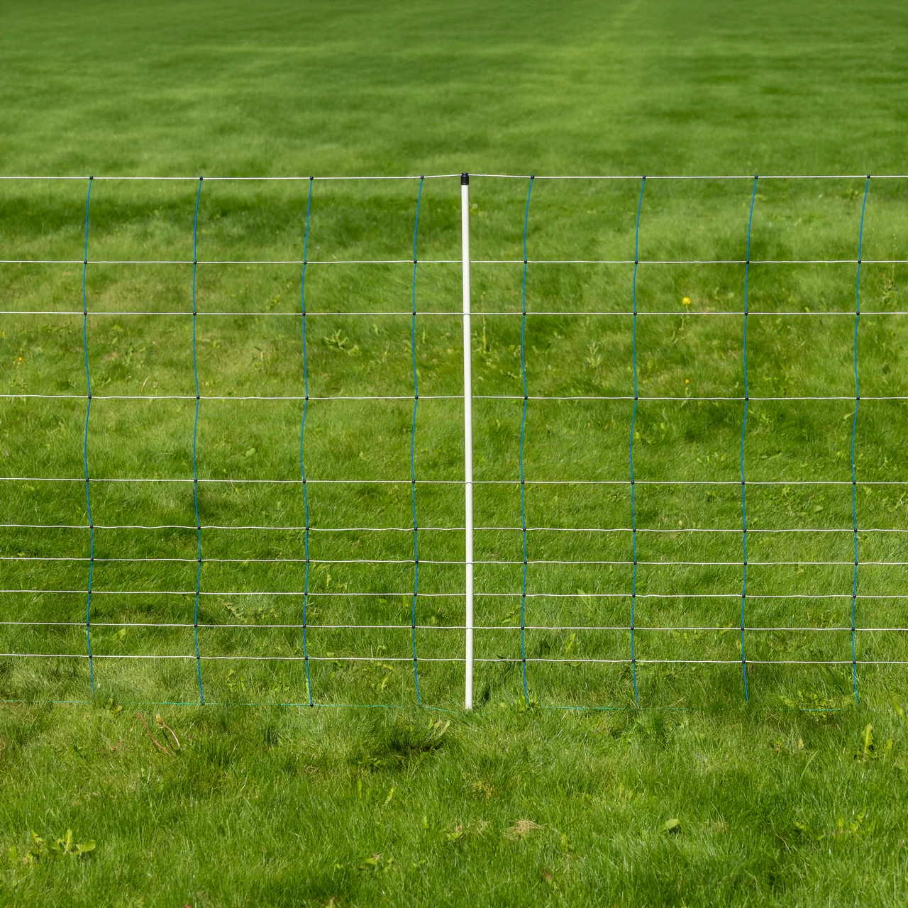 Rete per recinto elettrico, TitanNet, 50 m × 145 cm