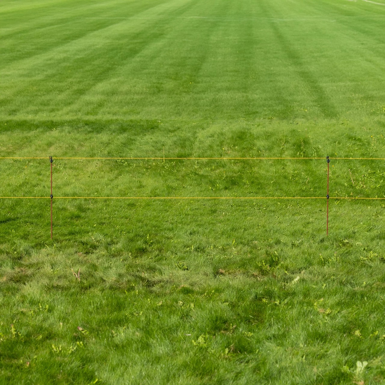 Palo in acciaio per recinto elettrico, Ø8 mm × 107 cm, 30 pz