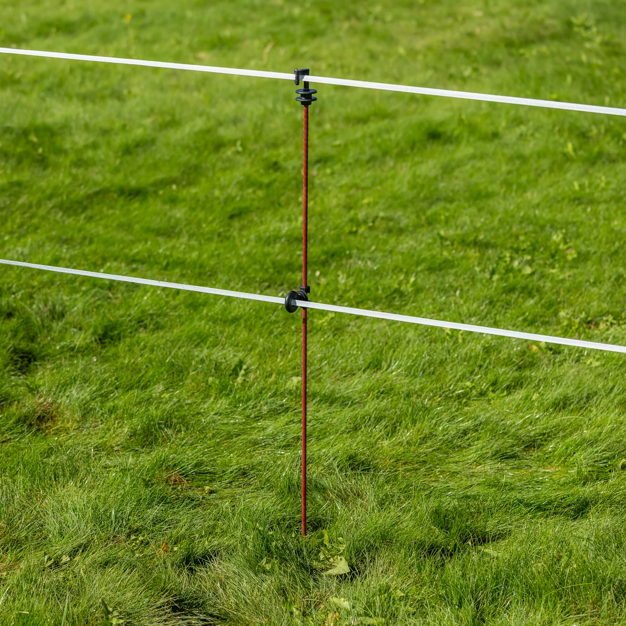 Palo in acciaio per recinto elettrico, Ø8 mm × 107 cm, 30 pz