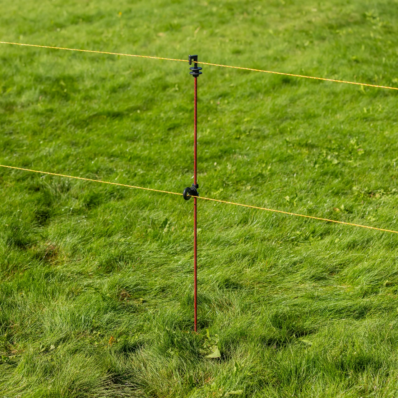 Palo in acciaio per recinto elettrico, Ø8 mm × 107 cm, 30 pz