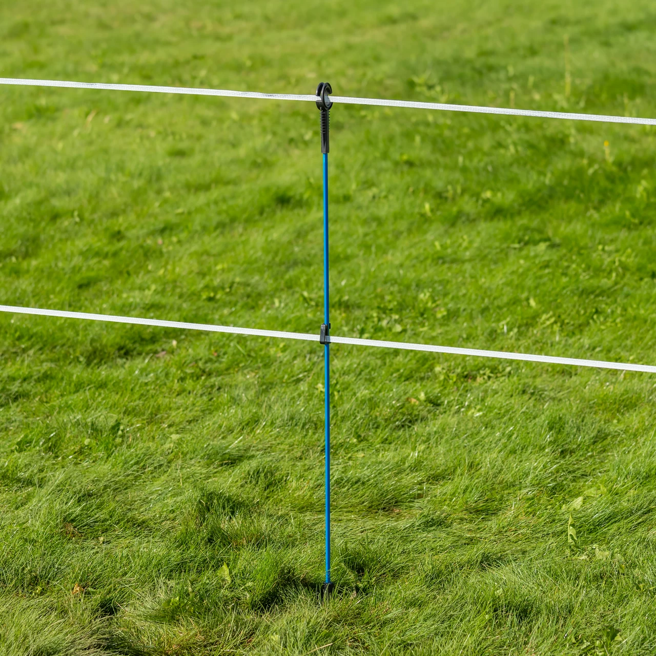 Palo in fibra di vetro, AKO Oval Premium, 110 cm, azzurro, 10 pz.