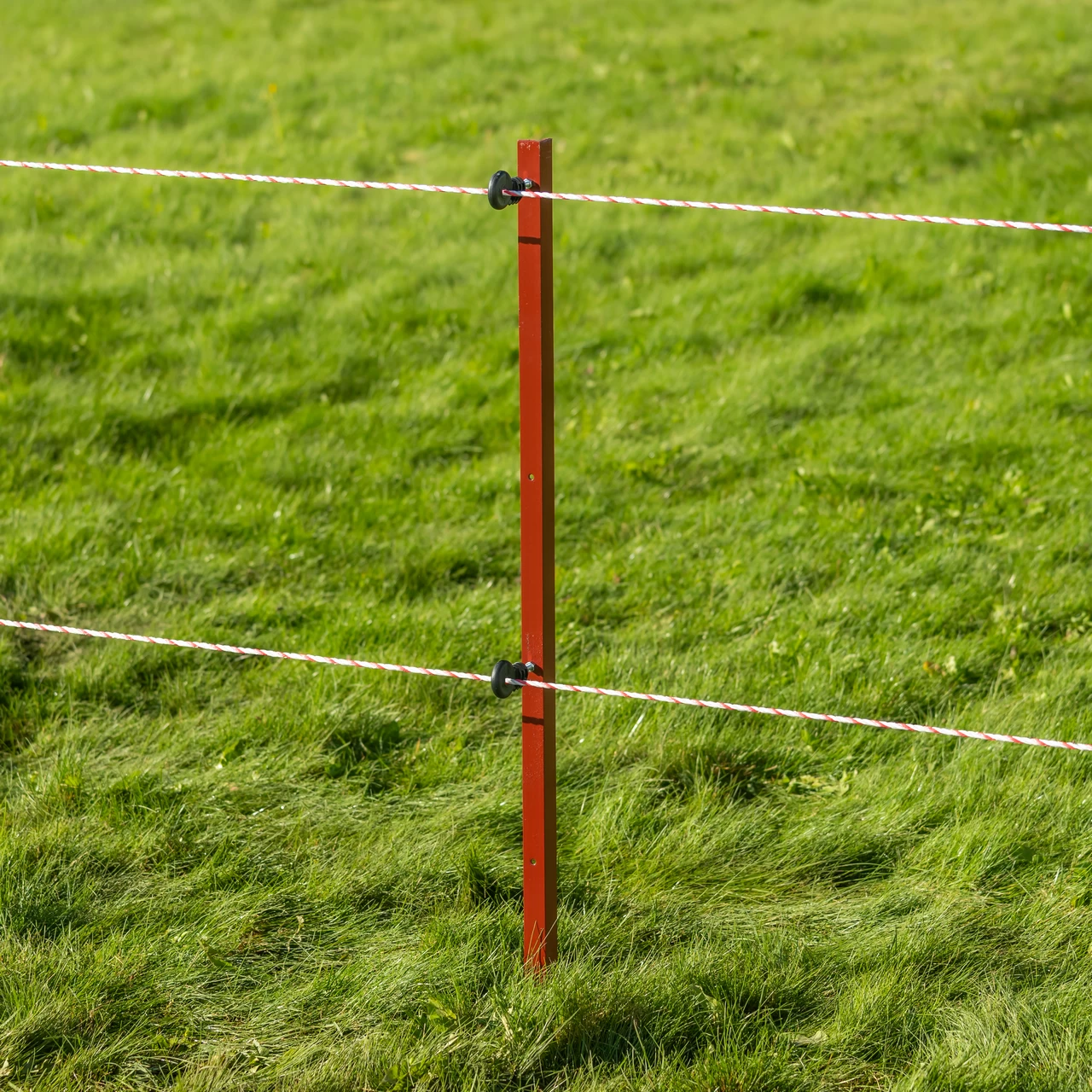 Palo in acciaio quadrato 25 × 25 mm, 115 cm, 10 pz.