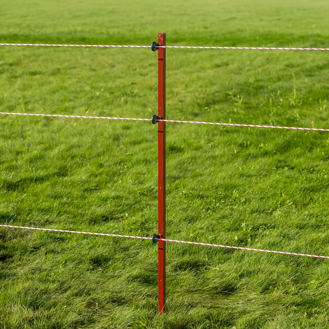 Palo in acciaio quadrato 25 × 25 mm, 150 cm, 10 pz.