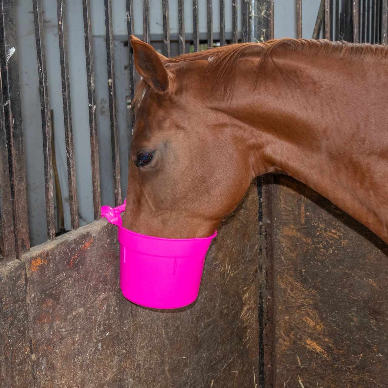 Secchio per l'alimentazione, con staffa di sospensione, forma cilindrica, rosa, 8 litri