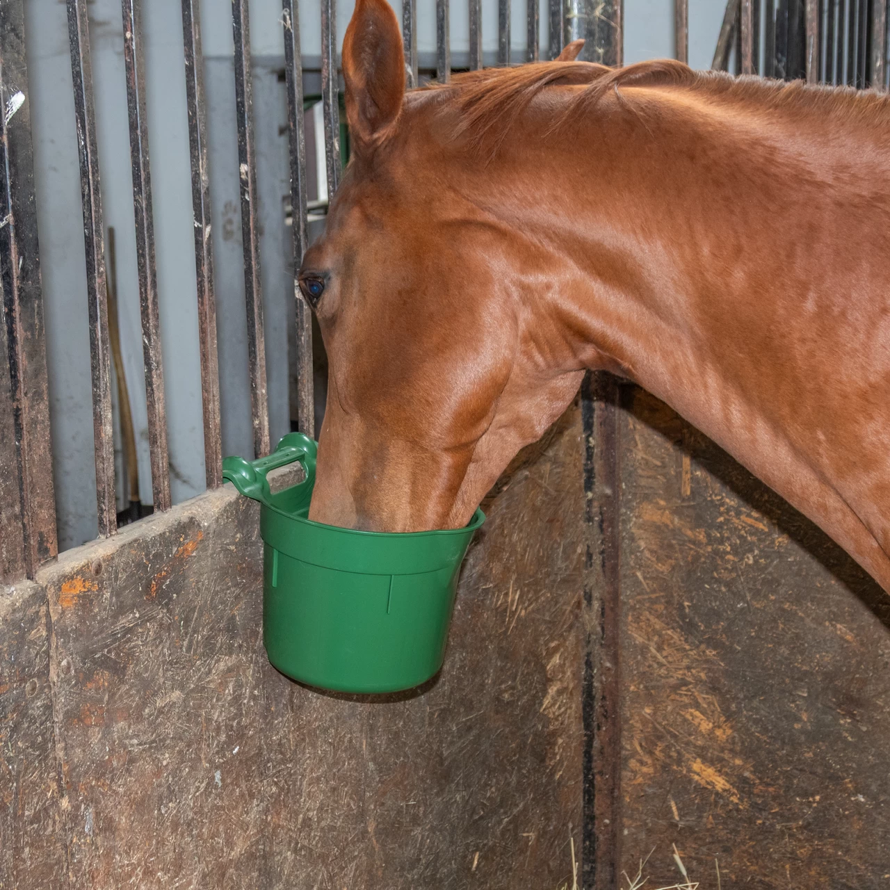 Secchio per l'alimentazione, con staffa di sospensione, forma cilindrica, verde scuro, 8 litri