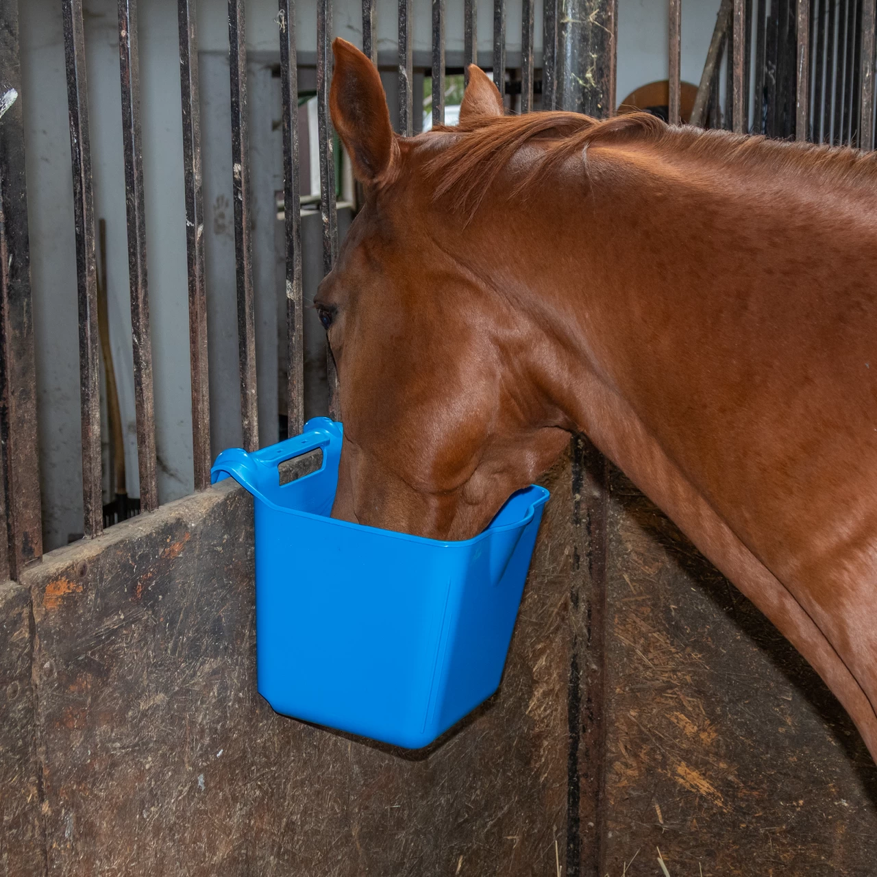 Secchio per l'alimentazione, con staffa di sospensione, forma quadrata, blu, 13 litri