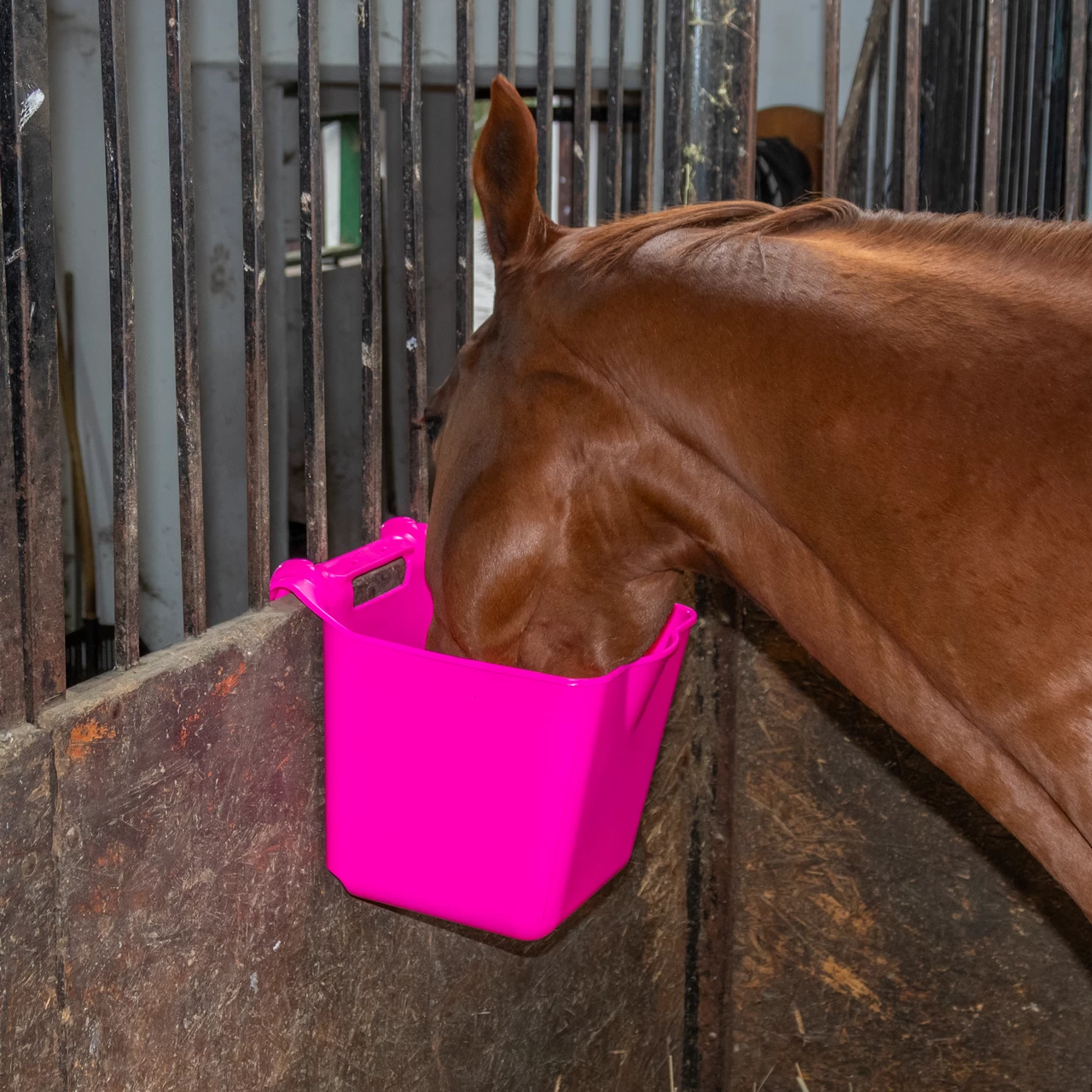 Secchio per l'alimentazione, con staffa di sospensione, forma quadrata, rosa, 13 litri