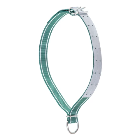 Collare per bovini, 150 × 5 cm