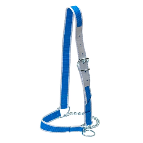 Cavezza per bovini con catena