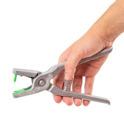 Marchi auricolari per agnelli e capretti, Twintag, verde, 101-150