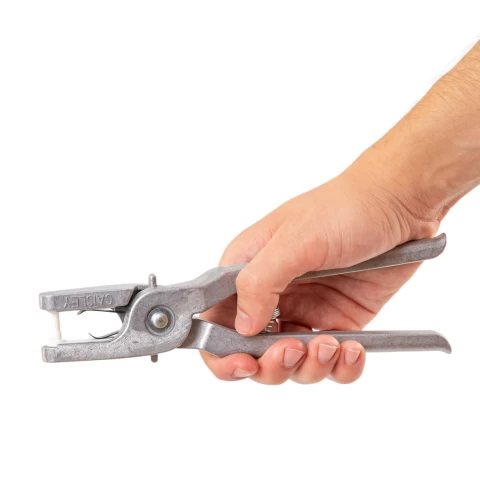 Marchi auricolari per agnelli e capretti, Twintag, bianco, 1-50