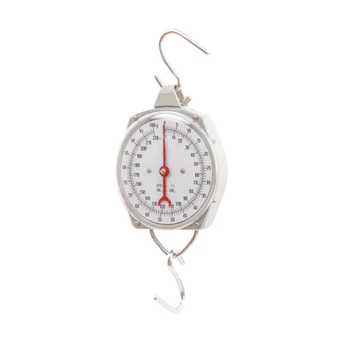 Bilancia sospesa premium, 100 kg