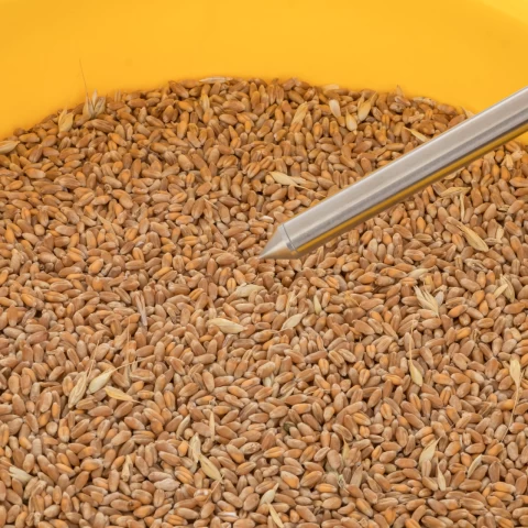 Sonda di temperatura per igrometro  dei cereali Draminski TwistGrain pro