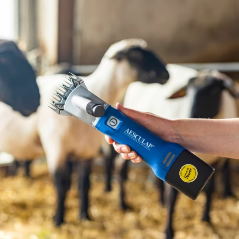 Tosatrice per pecore, Aesculap Econom NOVA CL