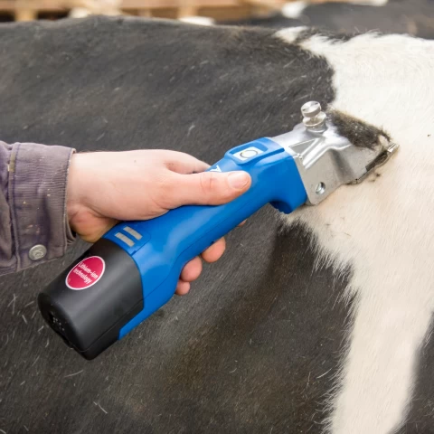 Macchina per la tosatura del bestiame, Aesculap Econom NOVA CL