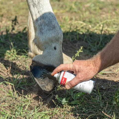 Spray Hoof and Claw, per la cura di zoccoli, artigli e altri tessuti cornei, 200 ml